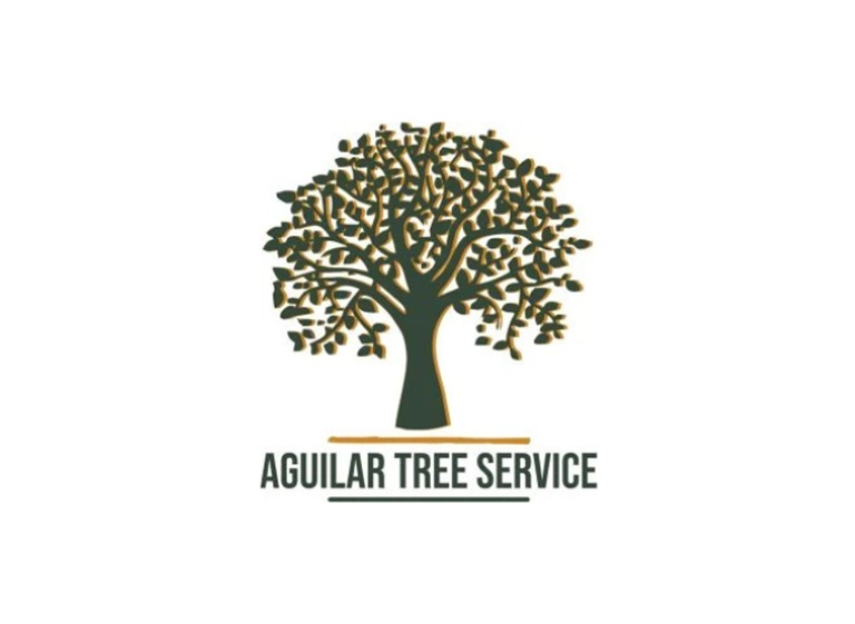 aguilar lawn and landscape logo