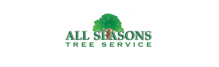 allseason logo 1 1 768x237