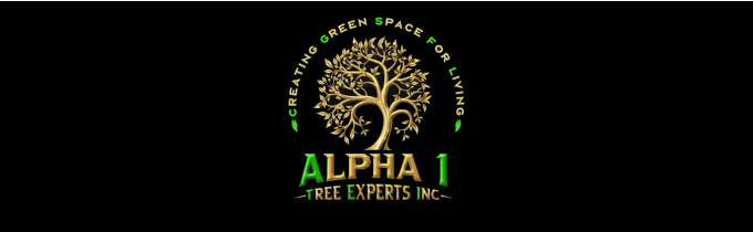 alpha logo 1