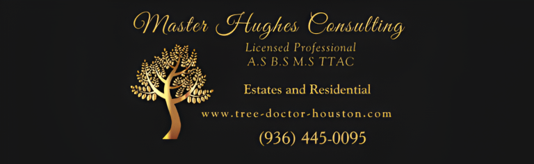 alpha logo1 1 768x237