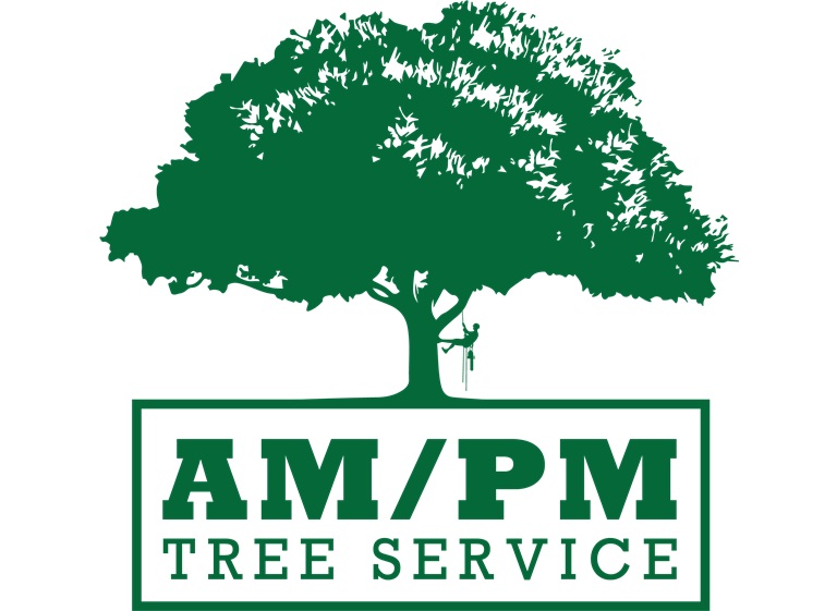 am pm tree service logo