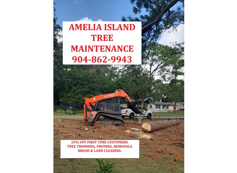 amelia island tree maintenance llc. 1