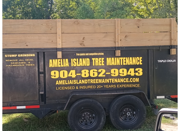 amelia island tree maintenance llc. 2