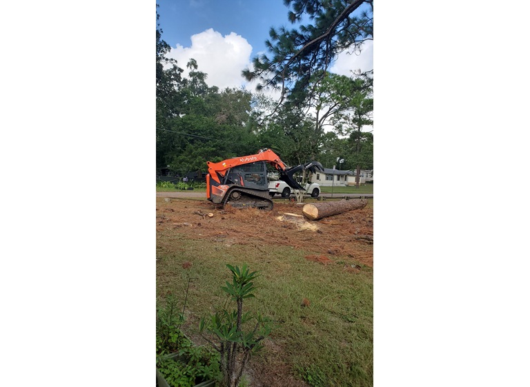 amelia island tree maintenance llc. 5