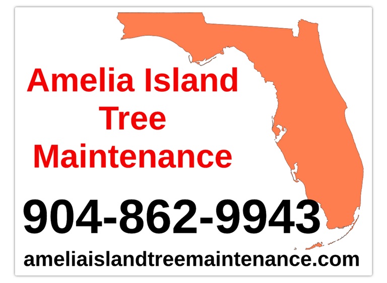 amelia island tree maintenance llc. logo