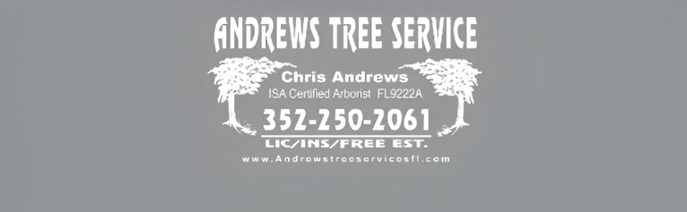 andrew 5 2 1 768x237