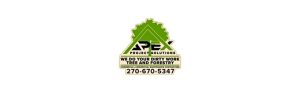 Apex Project Solutions logo, tree and forestry services.