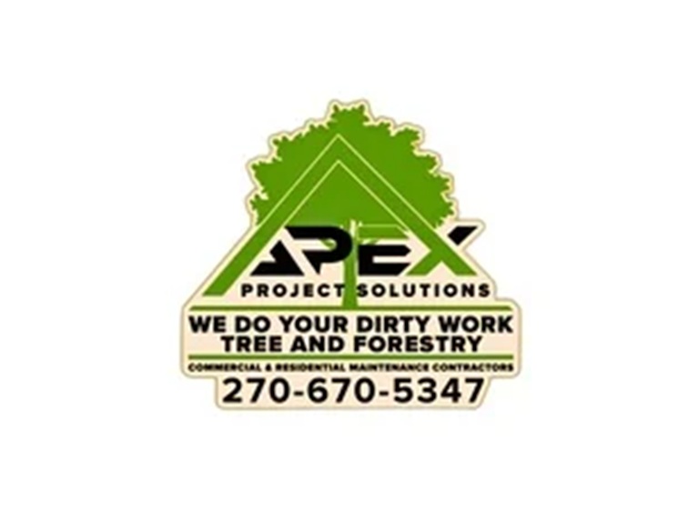apex project solutions logo