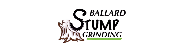 ballard logo1 2 768x237