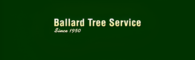 ballard logo1 768x237