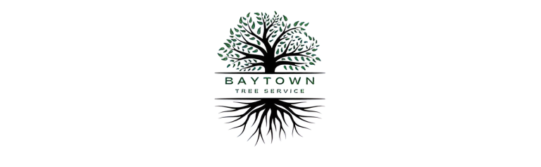 baytown logo1 768x237