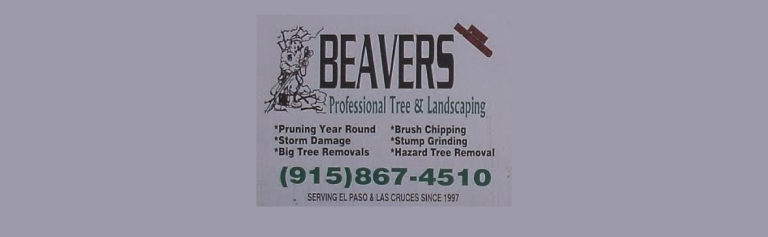 beavers logo 768x237