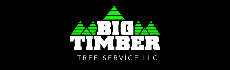 bigtimber logo1 768x237