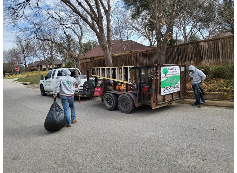 bladis tree service 3