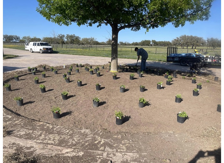borders tree services 3