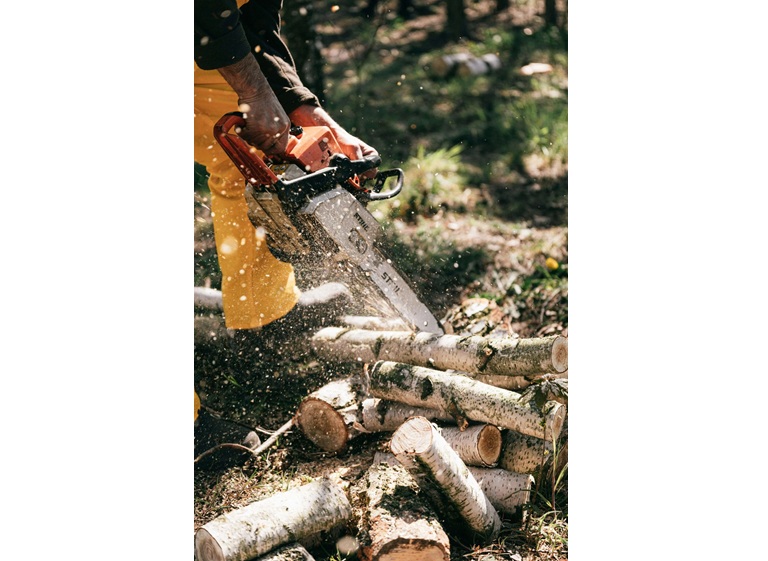 bothell tree experts 5