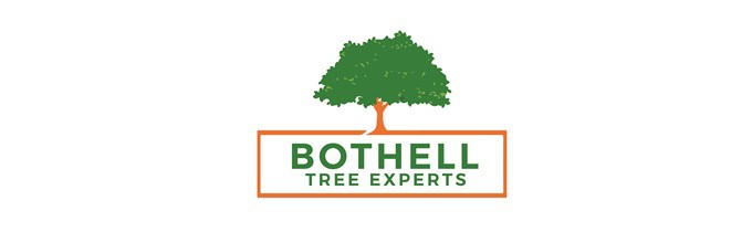 bothell tree experts banner