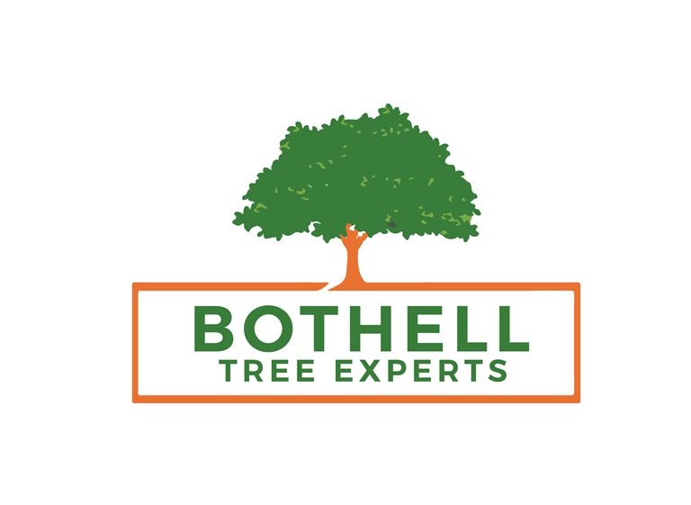 bothell tree experts logo