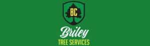 Briley Tree Services logo