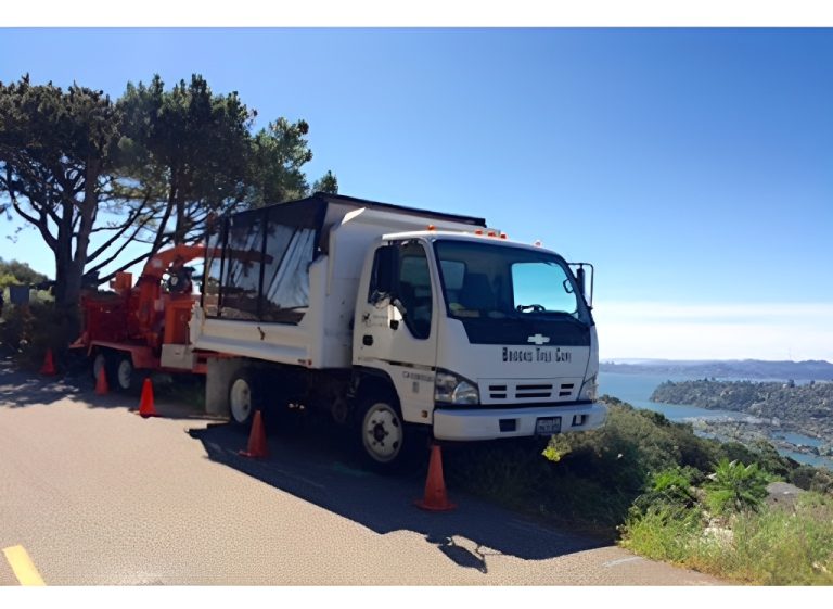 brooks tree care 3 768x561