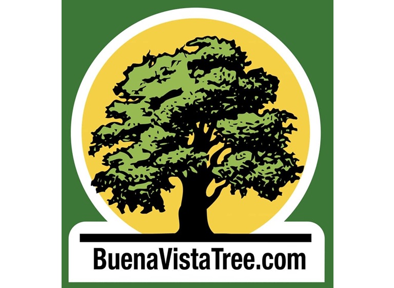 buena vista tree logo