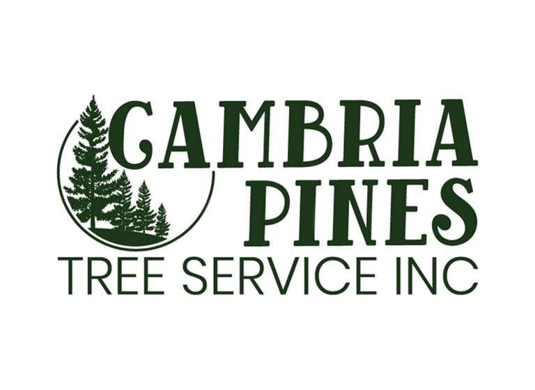 cambria pines logo