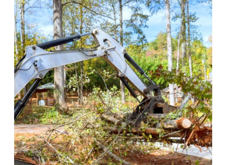 cambridge tree care pros 2