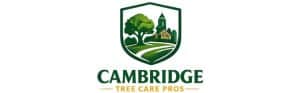 Cambridge Tree Care Pros logo with tree and house