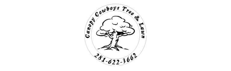 canopy logo1 768x237