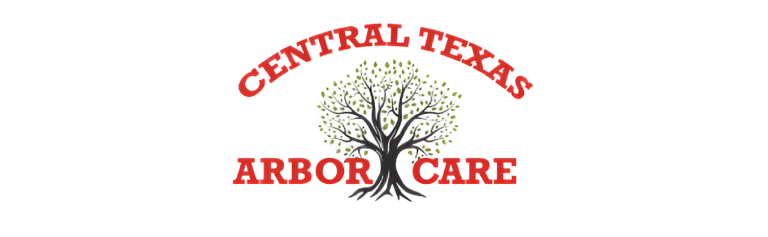 central logo1 1 768x237