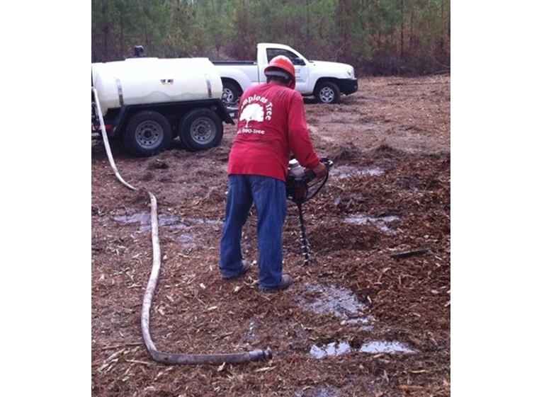 champions tree preservation 2