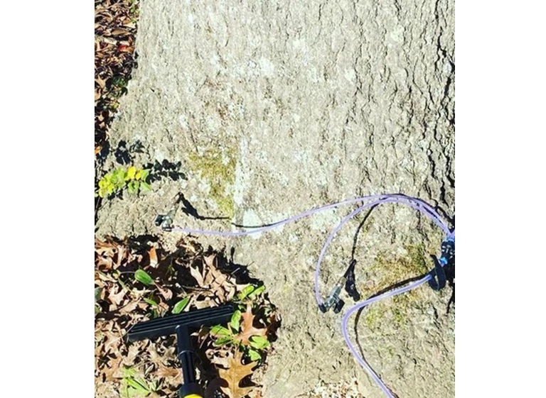 champions tree preservation 4