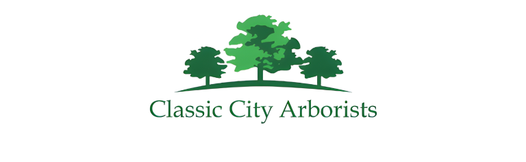 classic city 1 1 768x237