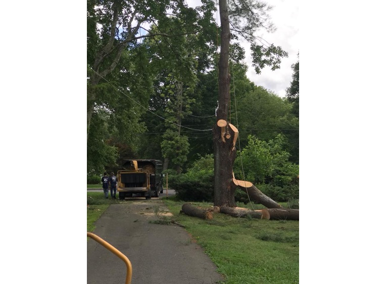 clearwood timber llc 2