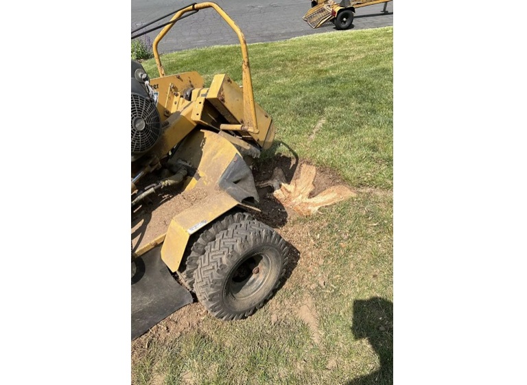 clearwood timber llc 3