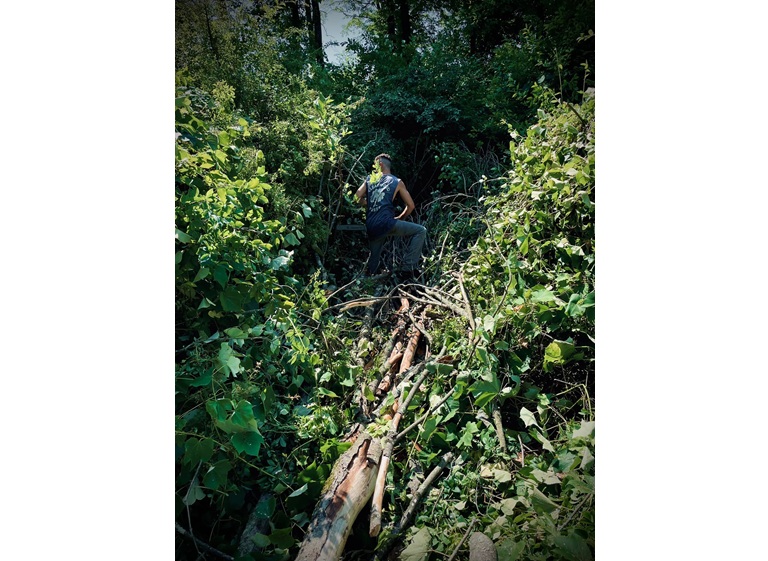 clearwood timber llc 5