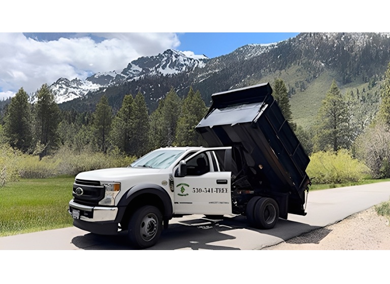 codys tree service 3