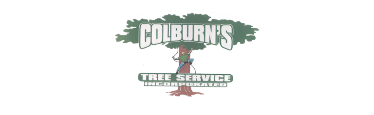 colburn logo1 768x237