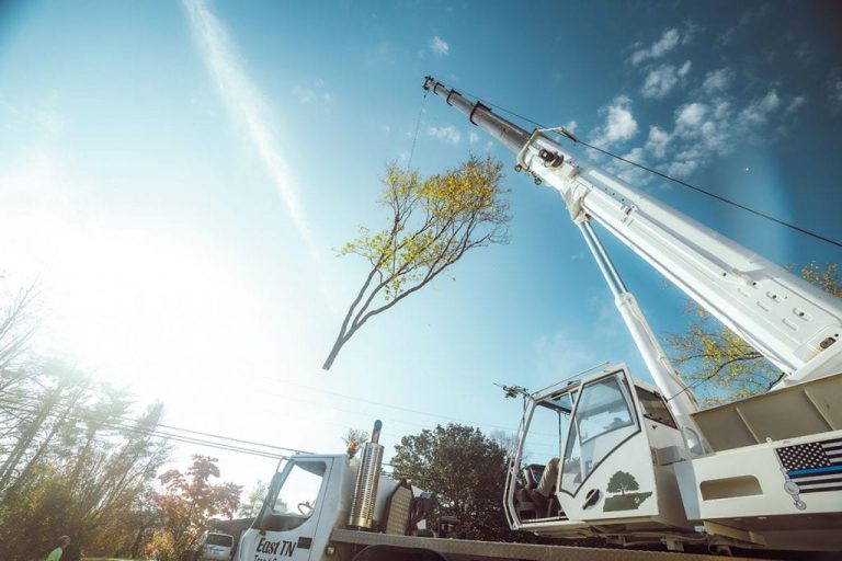 cover image1 2 768x512