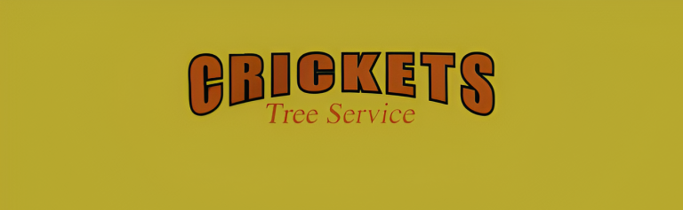 crickets logo1 768x237