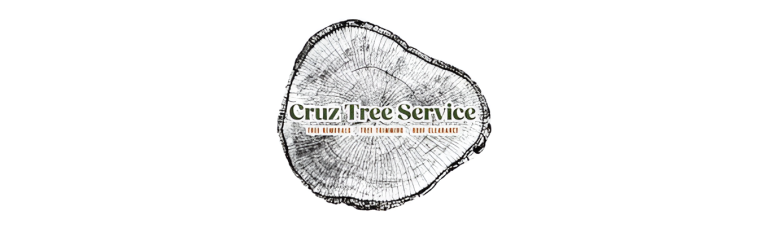 cruz logo1 768x237