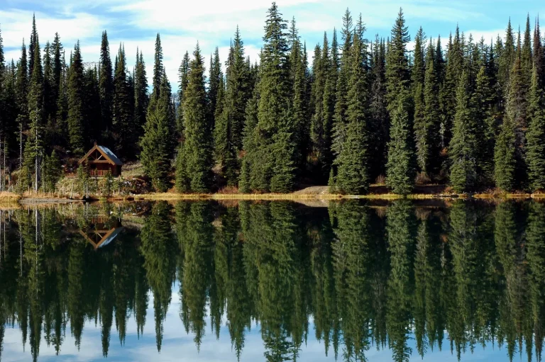 crw 1504h 1000 768x511