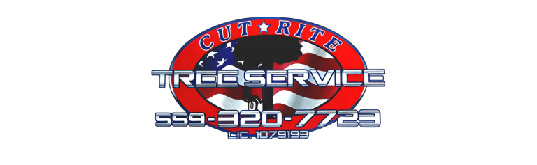 cutrite logo1 768x237