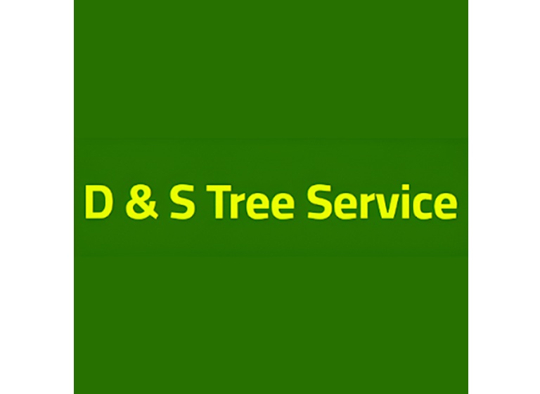 d s tree service logo