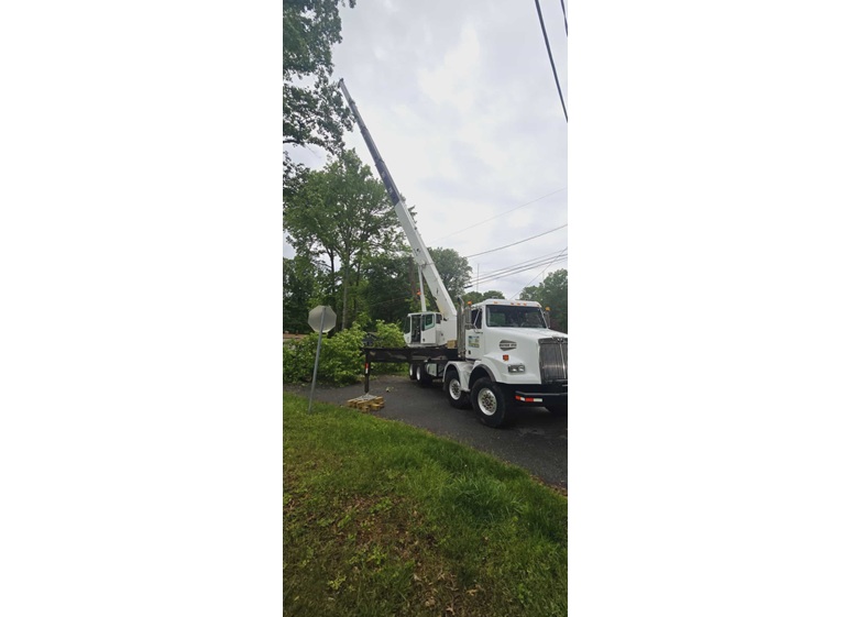 david kennedy tree landscaping 2