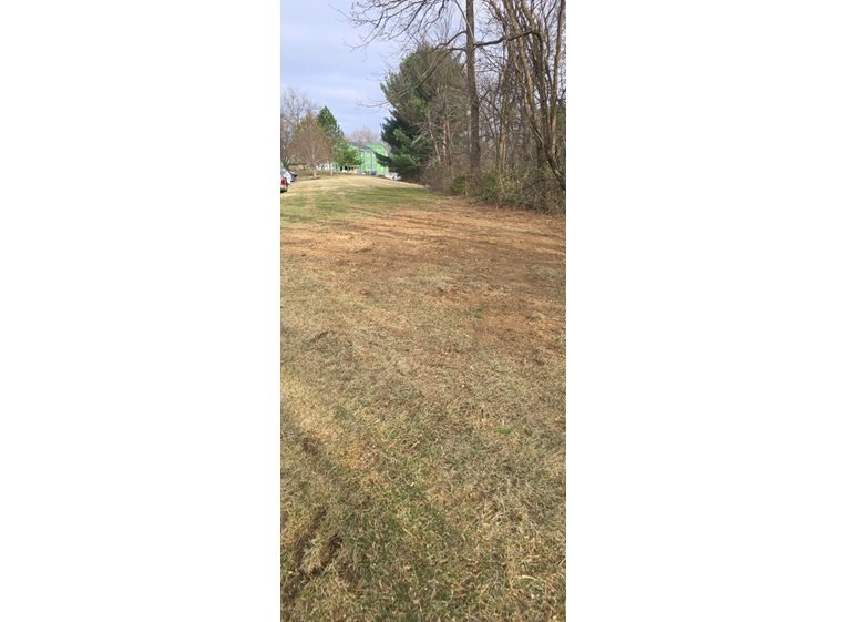 david kennedy tree landscaping 4