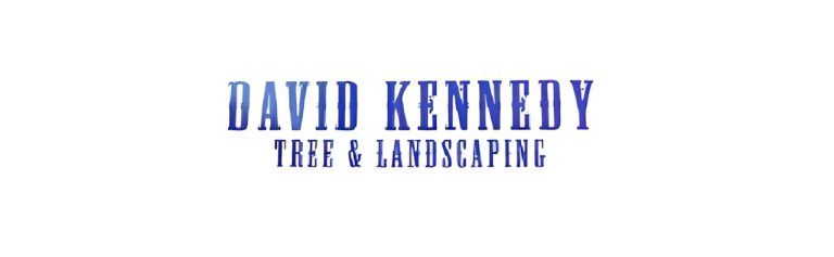 david kennedy tree landscaping banner 768x237