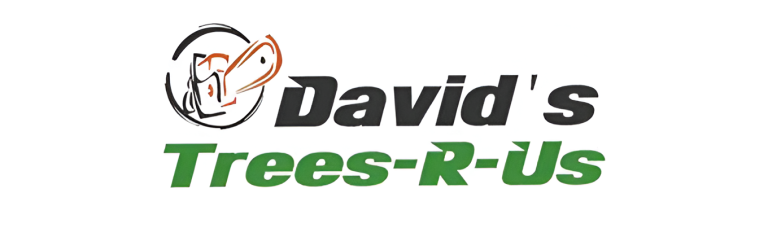 david logo1 768x237