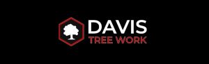 Davis Tree Work logo with tree icon.
