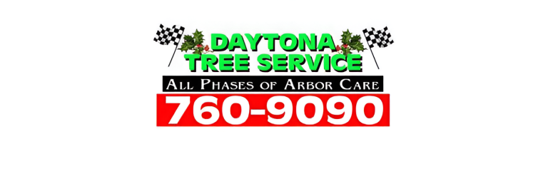 daytona logo1 768x237